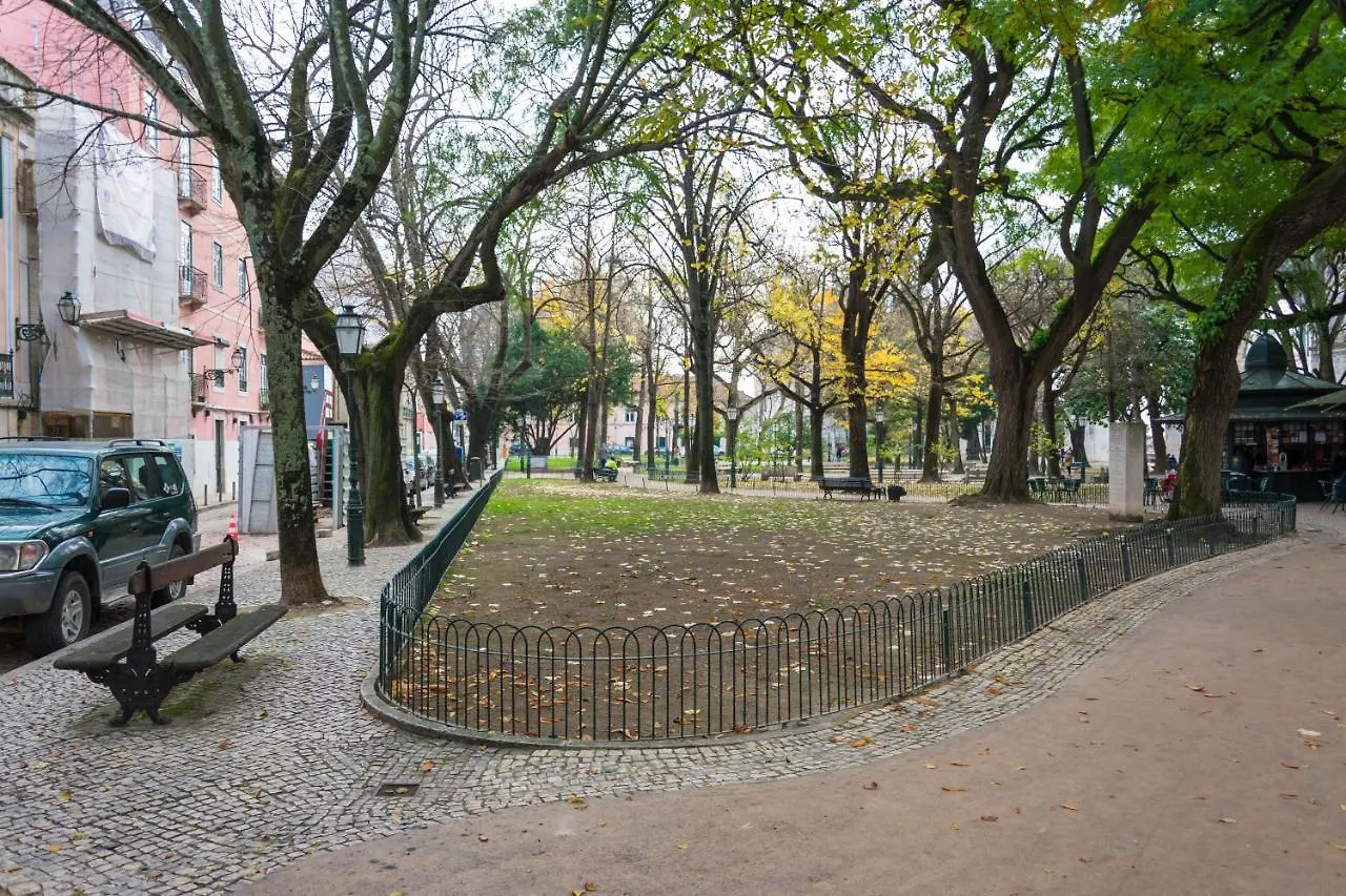 The Mulberry Tree Lisbon Hostel