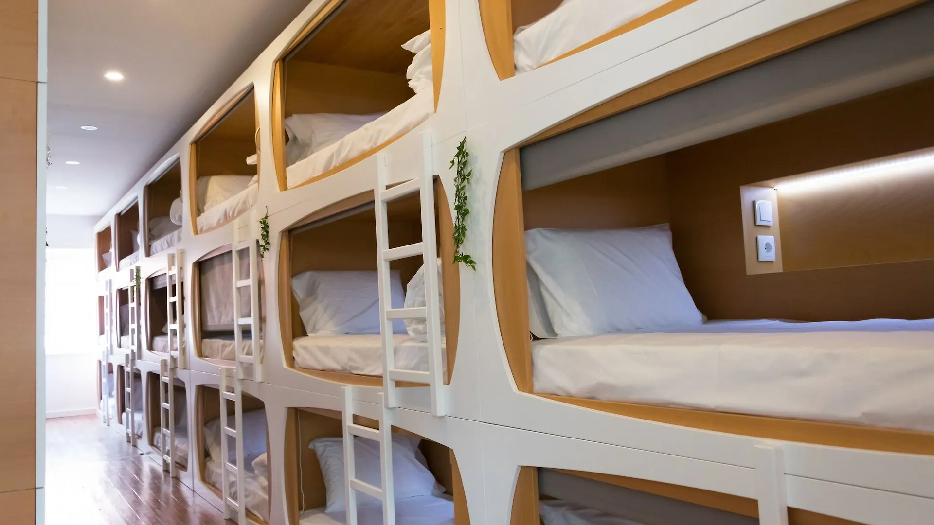 The Mulberry Tree Lisbon Hostel