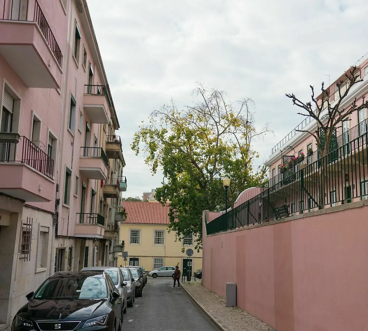 The Mulberry Tree Lisbon Hostel
